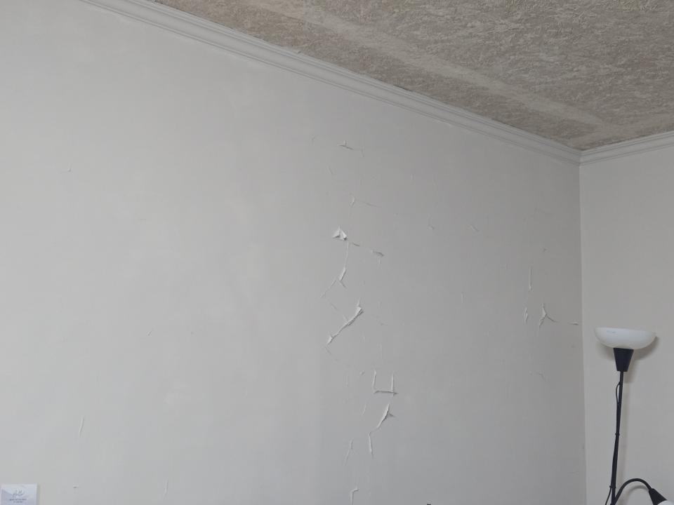 油漆工程案件圖片