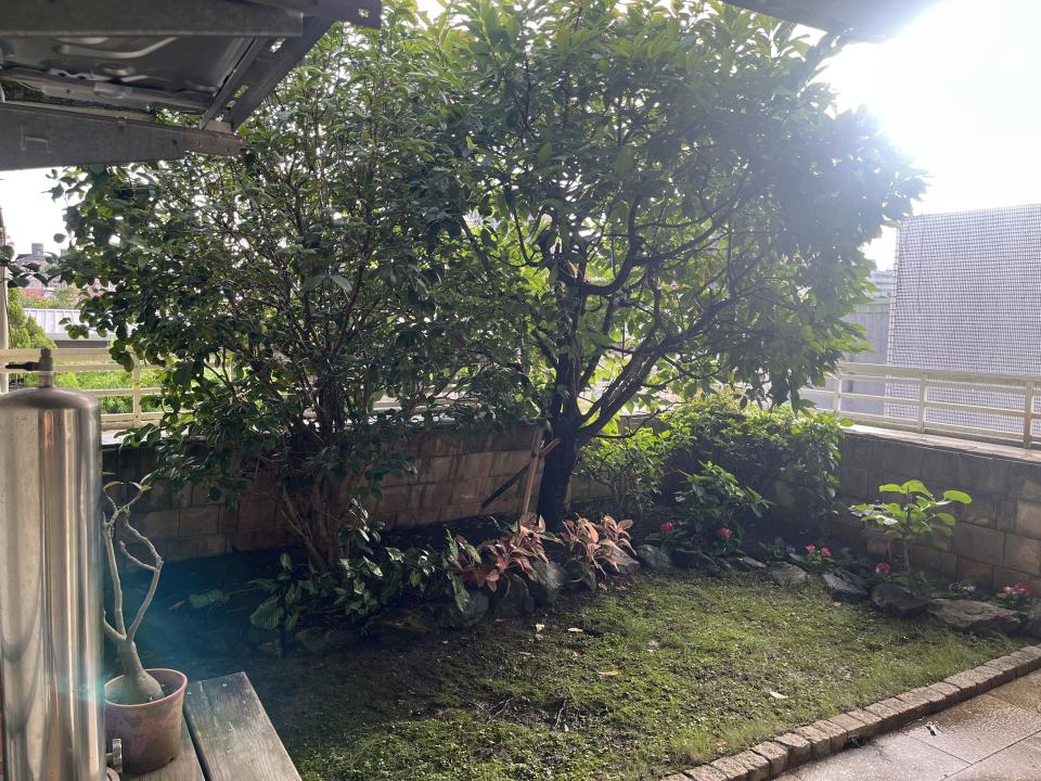 園藝維護案件圖片