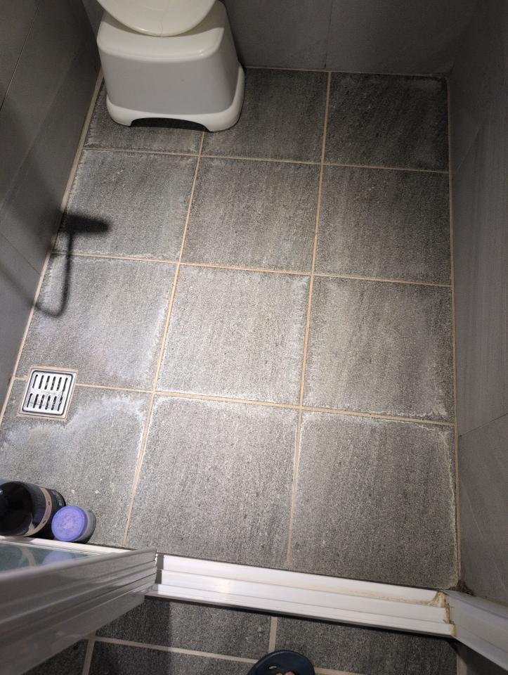 浴室清潔案件圖片