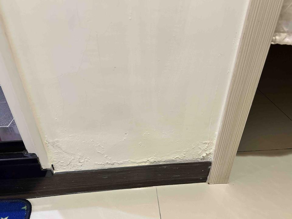 油漆工程案件圖片