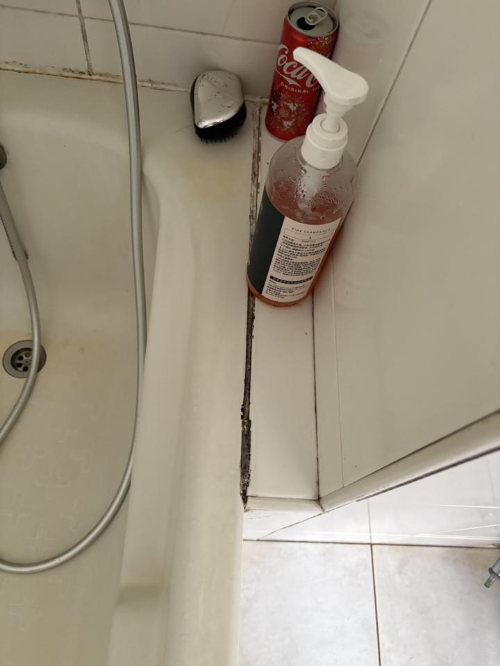 矽利康工程案件圖片