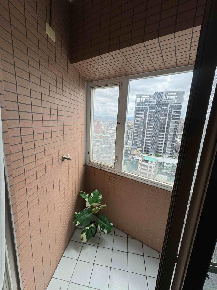 藝術漆施工案件圖片