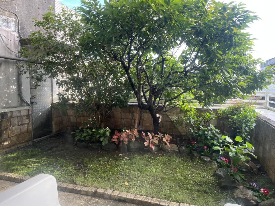 園藝維護案件圖片