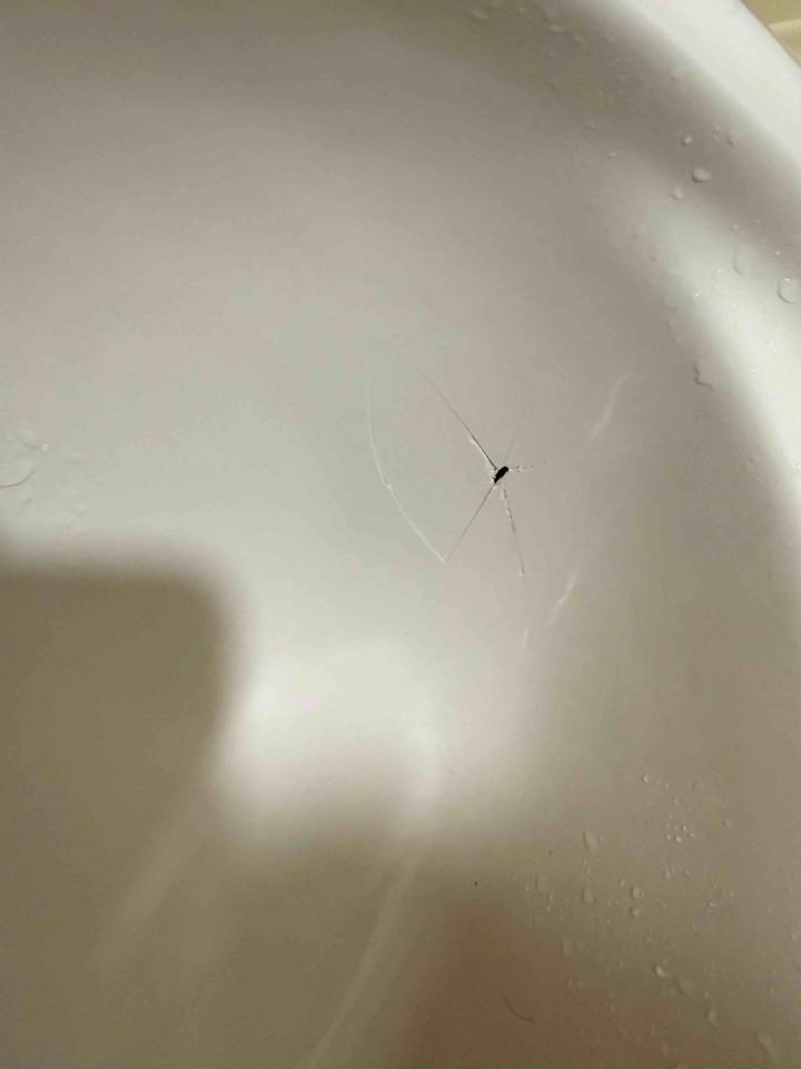 洗臉盆裝修案件圖片