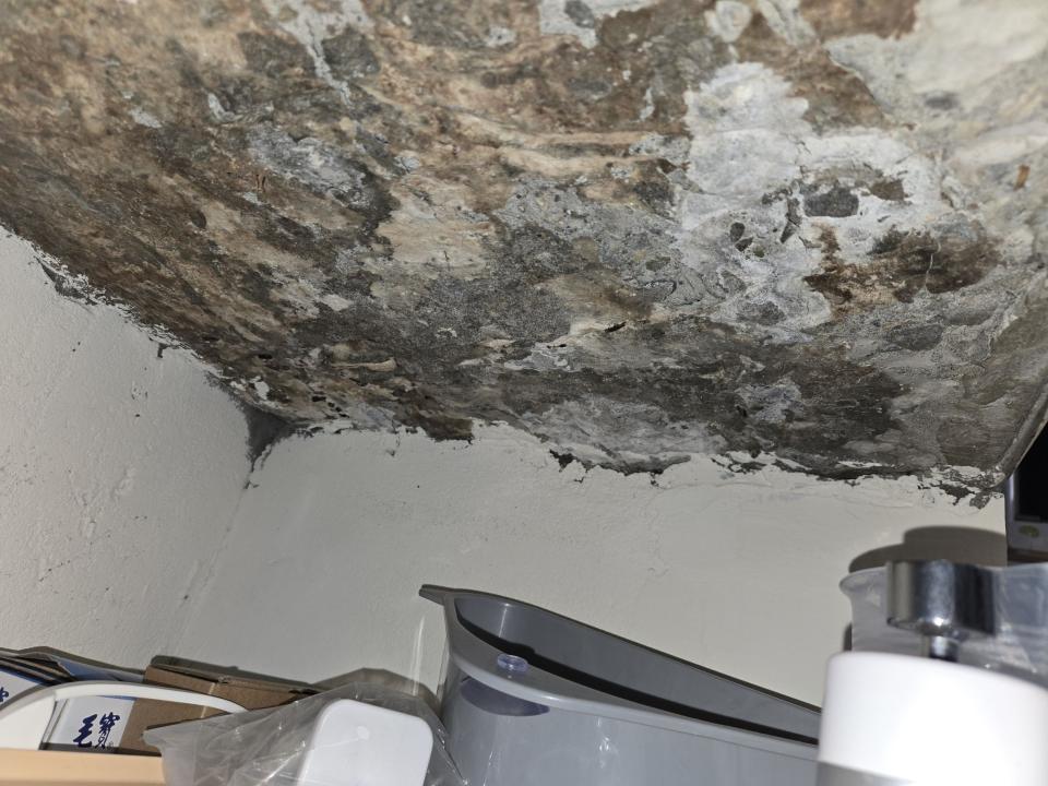 壁癌處理案件圖片