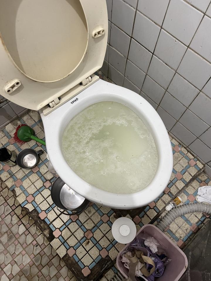 馬桶裝修案件圖片