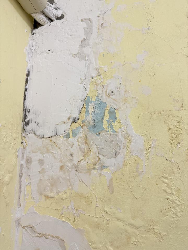 壁癌處理案件圖片