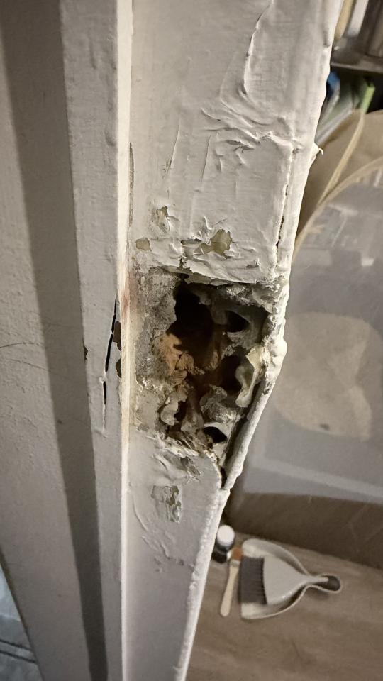 泥作/水泥施工案件圖片