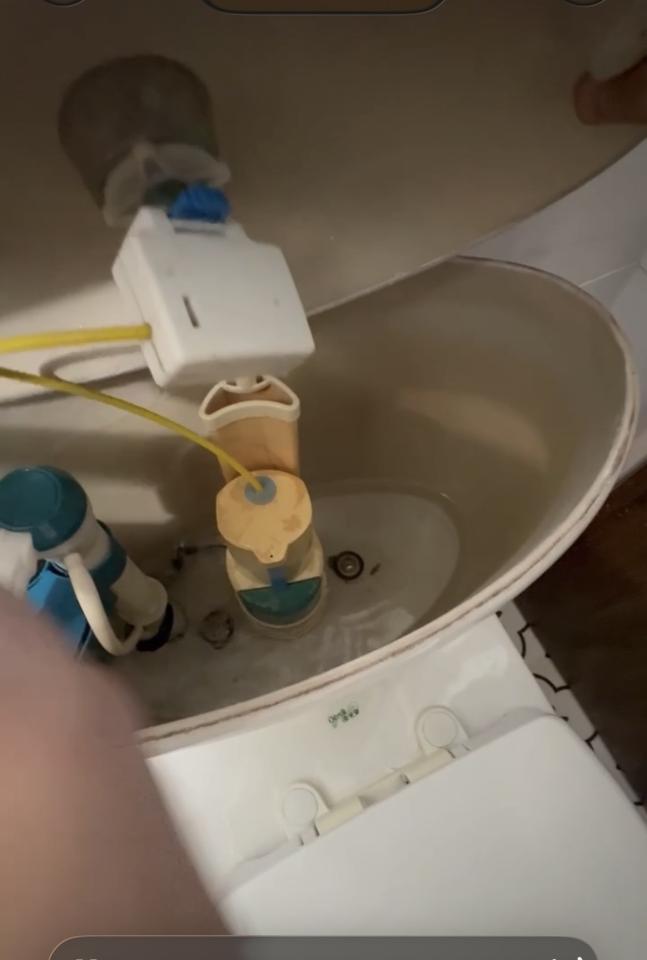 馬桶裝修案件圖片