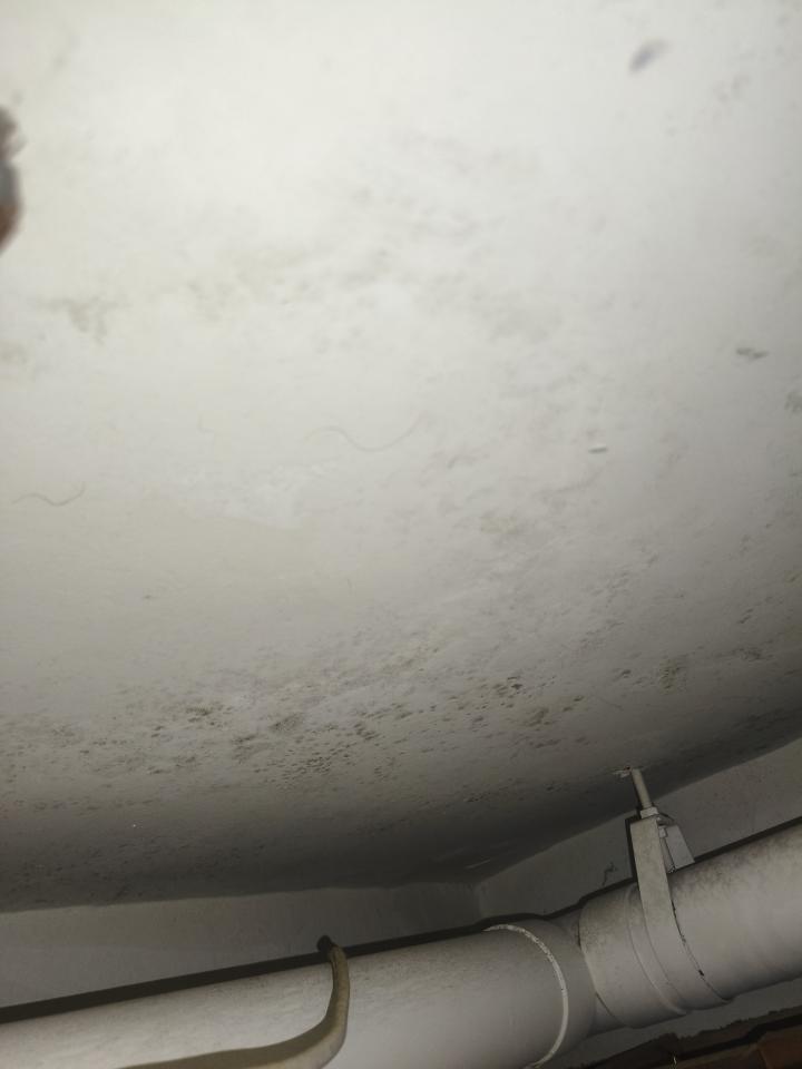 油漆工程案件圖片