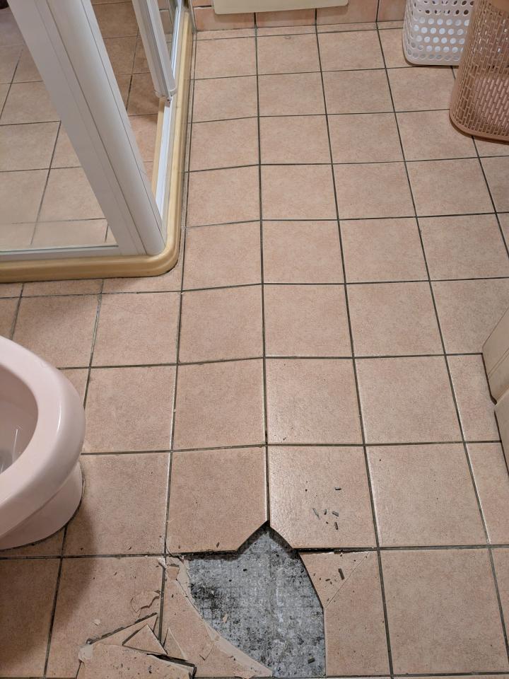 磁磚修補案件圖片