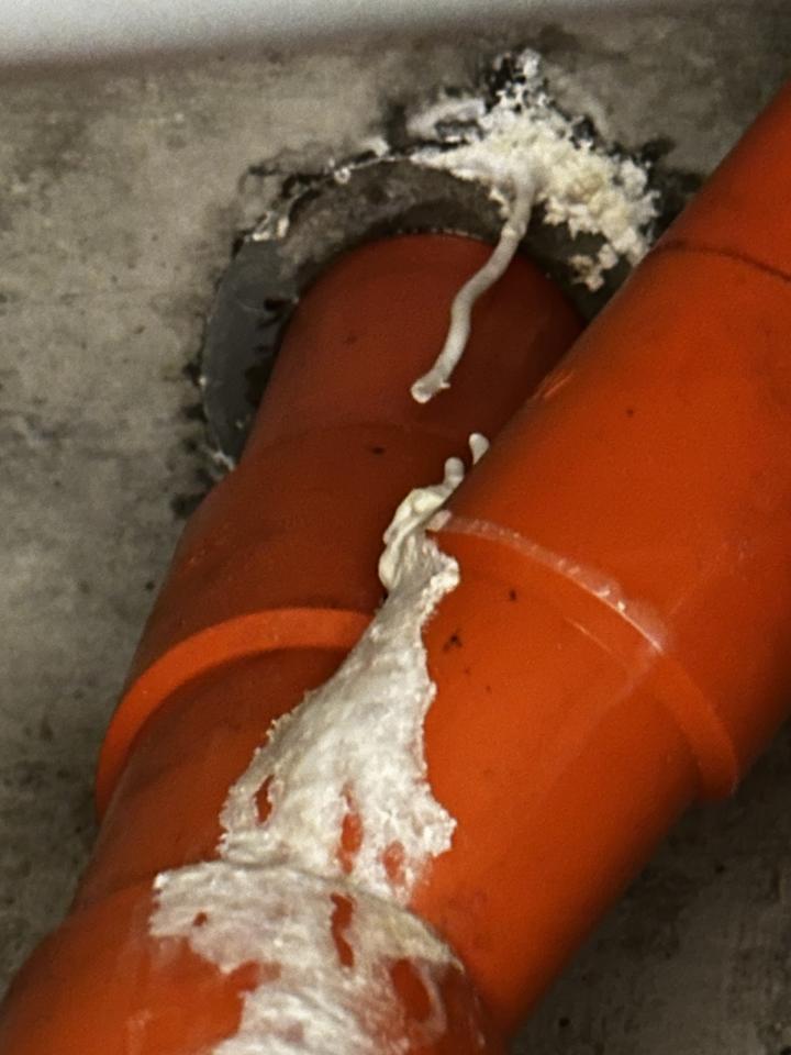 漏水處理案件圖片