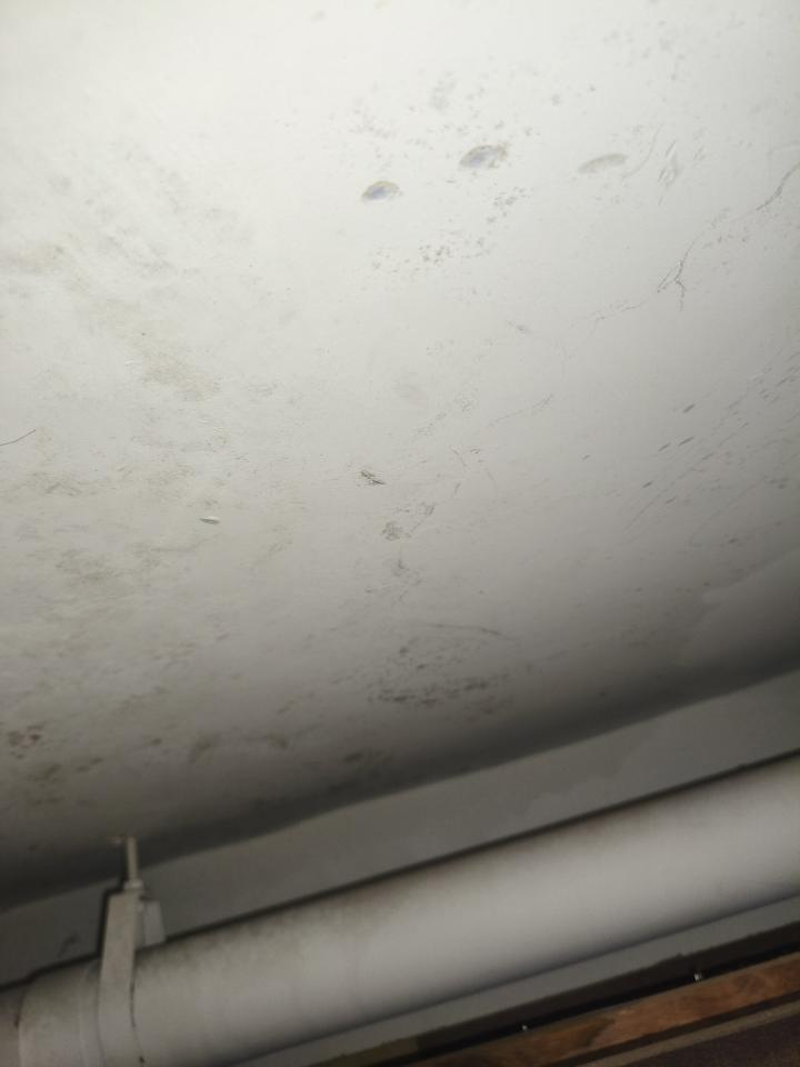 油漆工程案件圖片