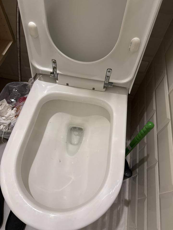 馬桶裝修案件圖片