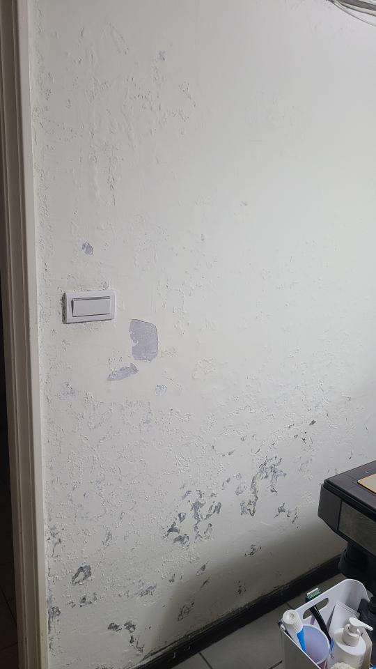 油漆工程案件圖片