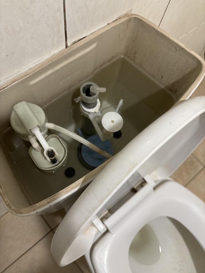 馬桶裝修案件圖片