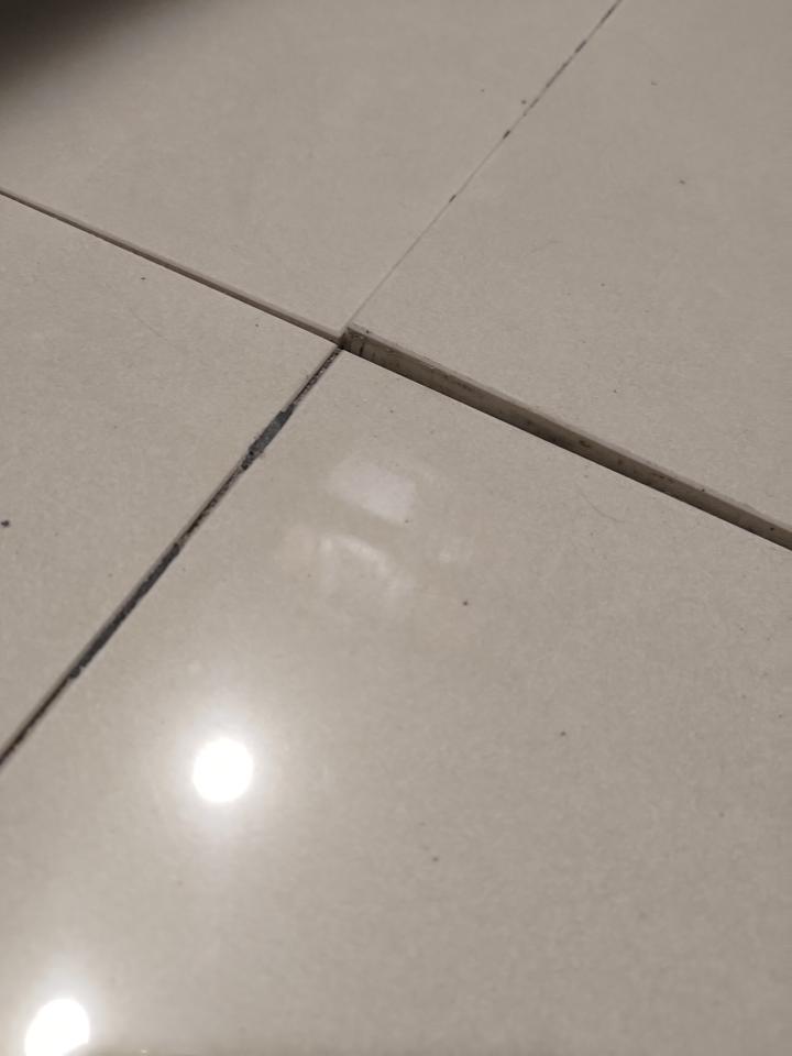 磁磚修補案件圖片