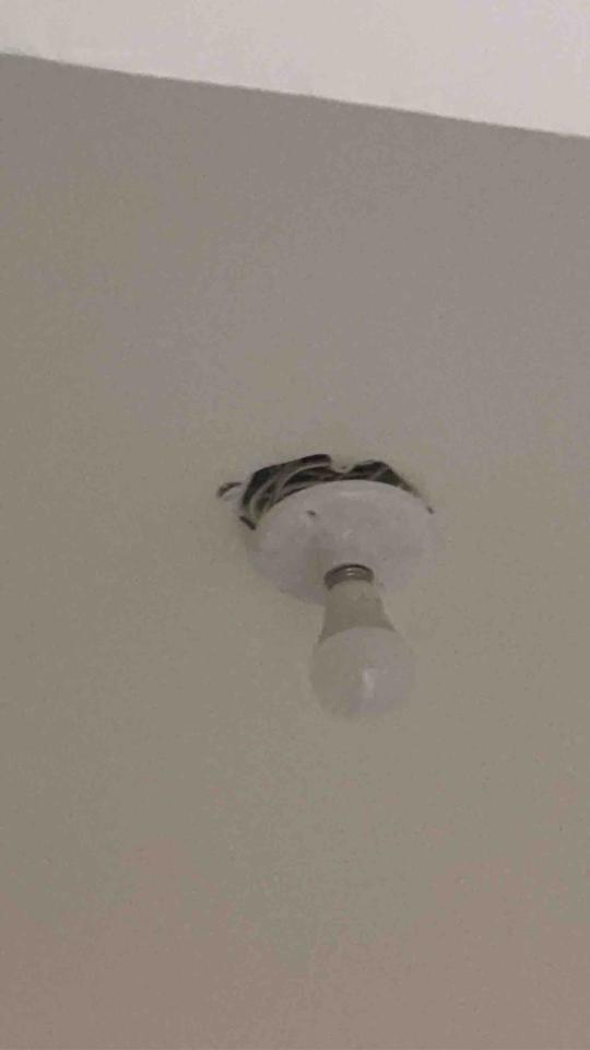 燈具安裝案件圖片