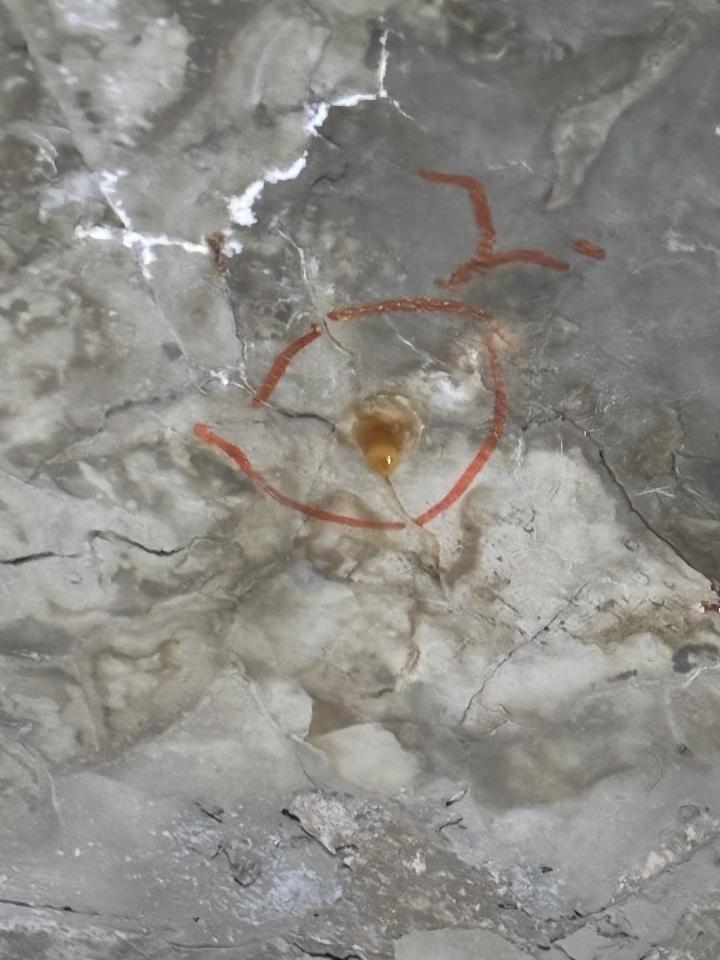 漏水鑑定案件圖片