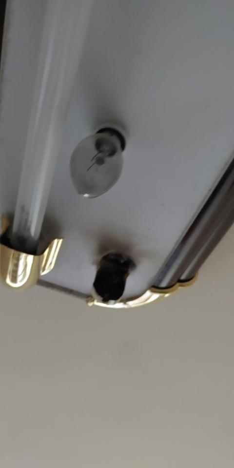 燈具維修案件圖片