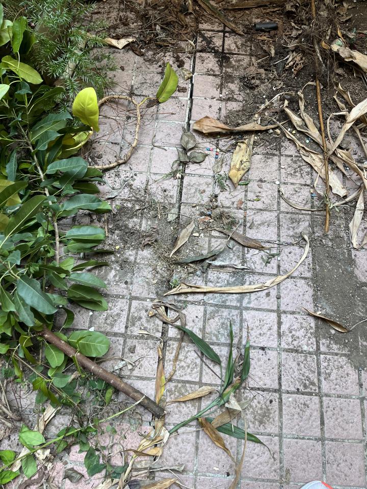 泥作/水泥施工案件圖片