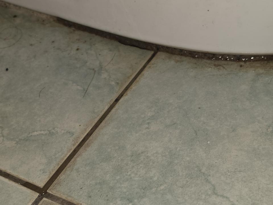 馬桶裝修案件圖片