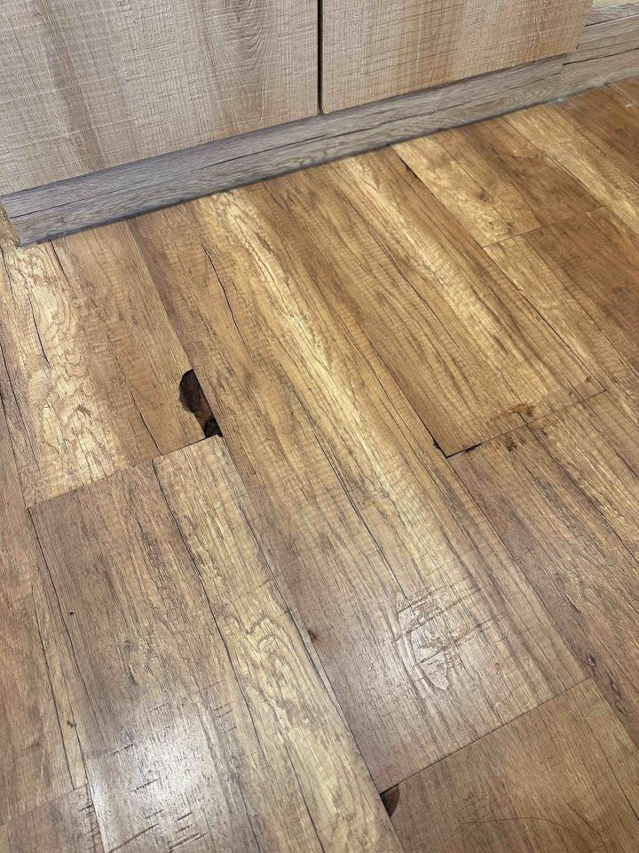 漏水鑑定案件圖片