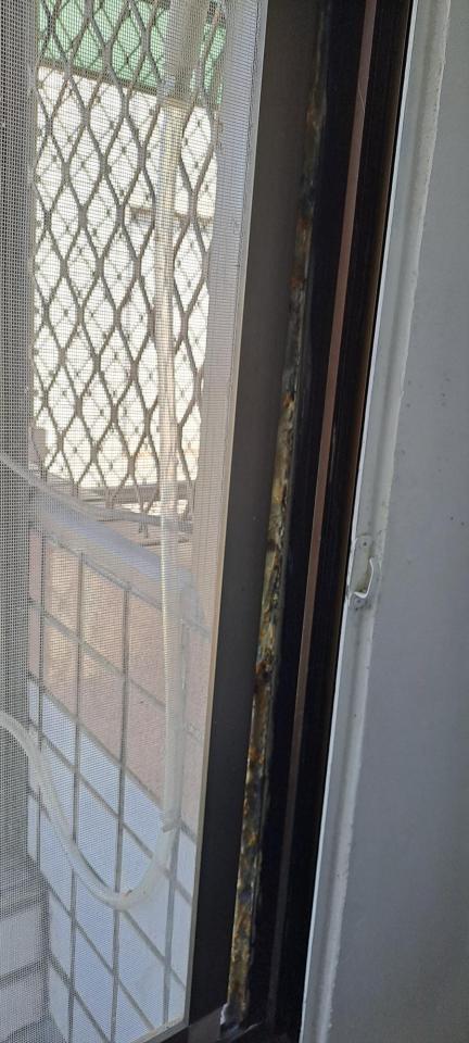 紗窗裝修案件圖片