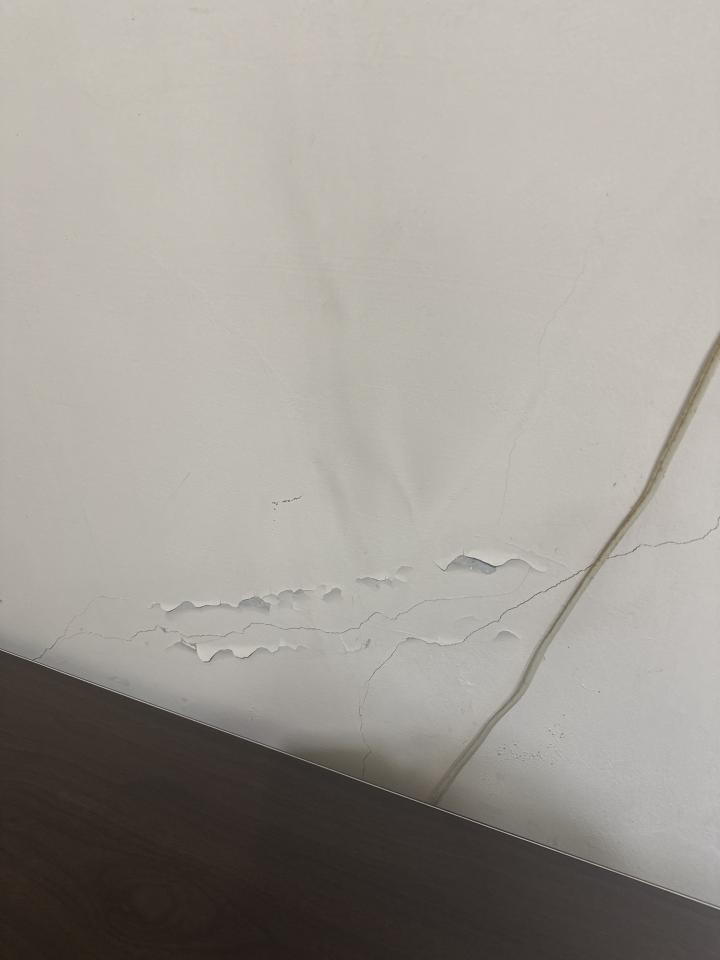 油漆工程案件圖片