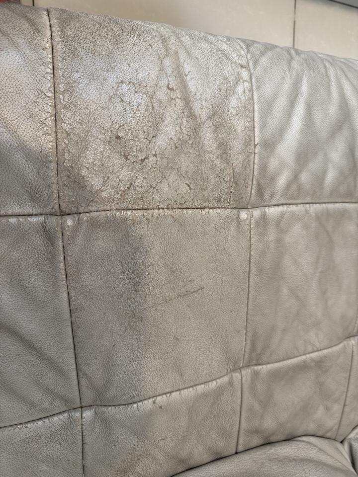 沙發修理案件圖片