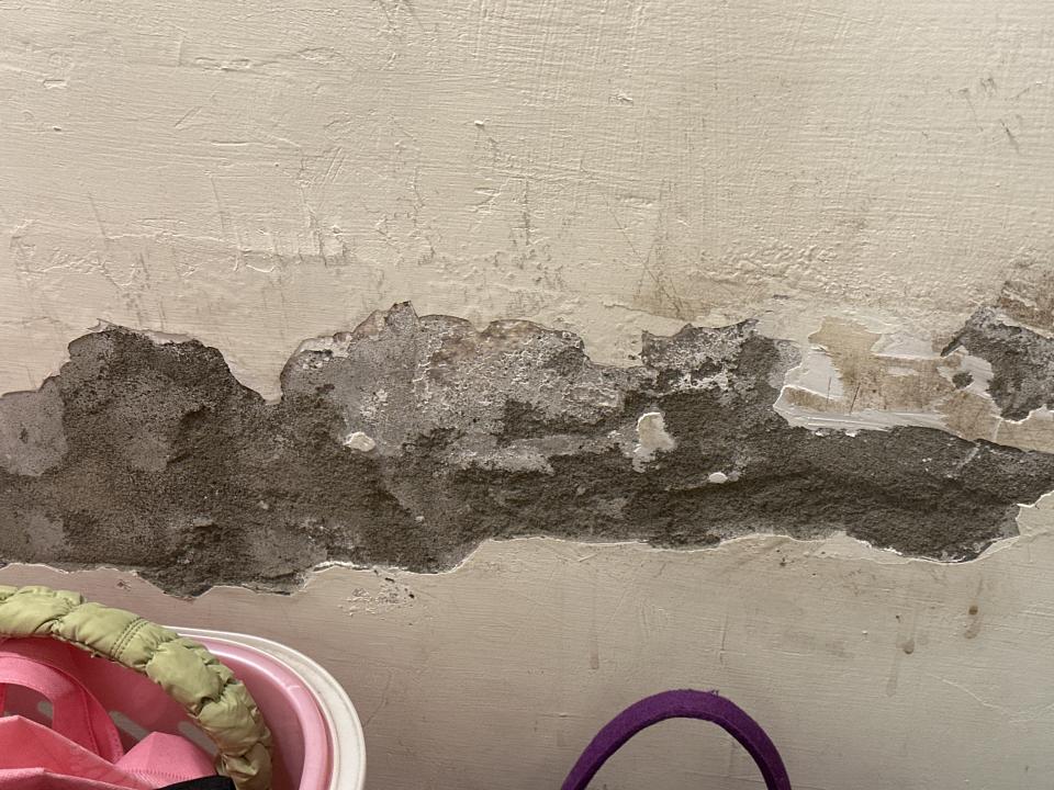 壁癌處理案件圖片