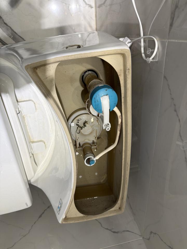 馬桶裝修案件圖片