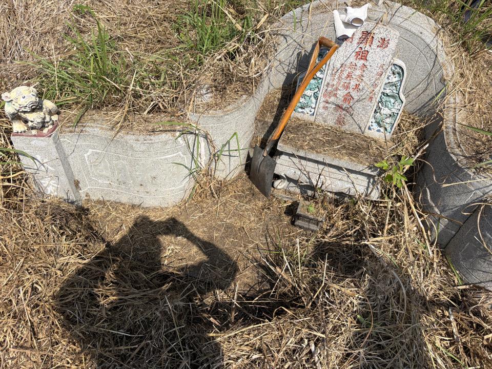 園藝維護案件圖片