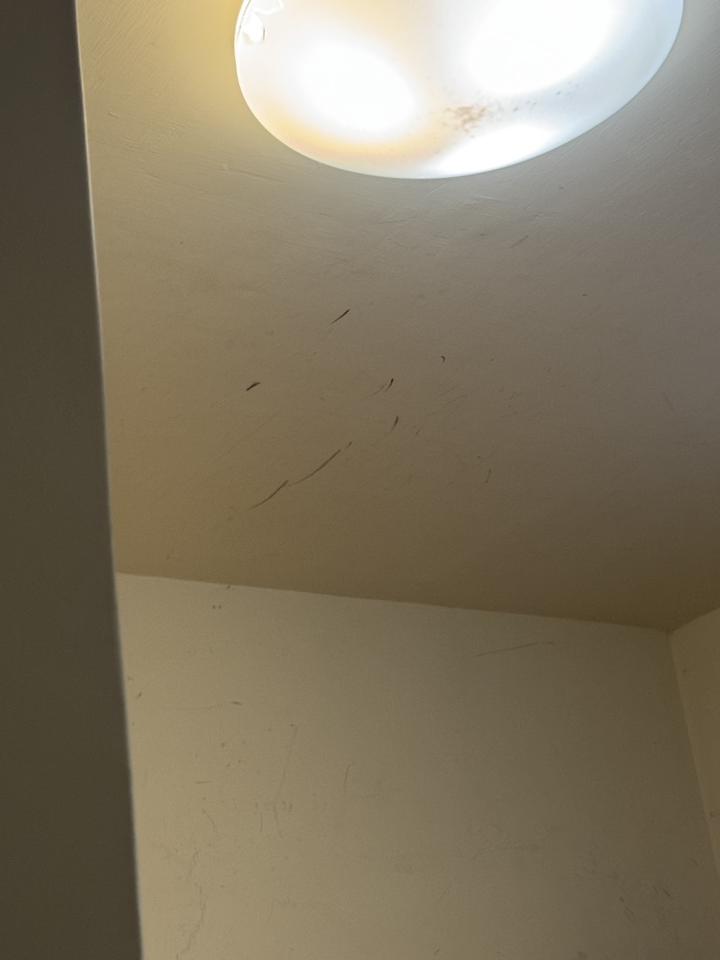 油漆工程案件圖片