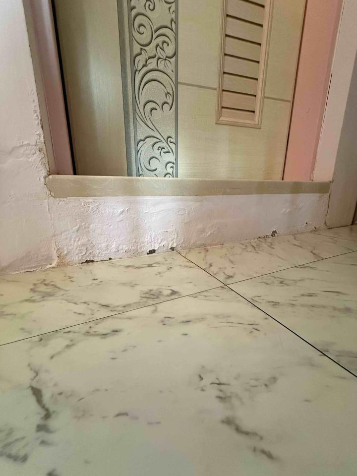 壁癌處理案件圖片