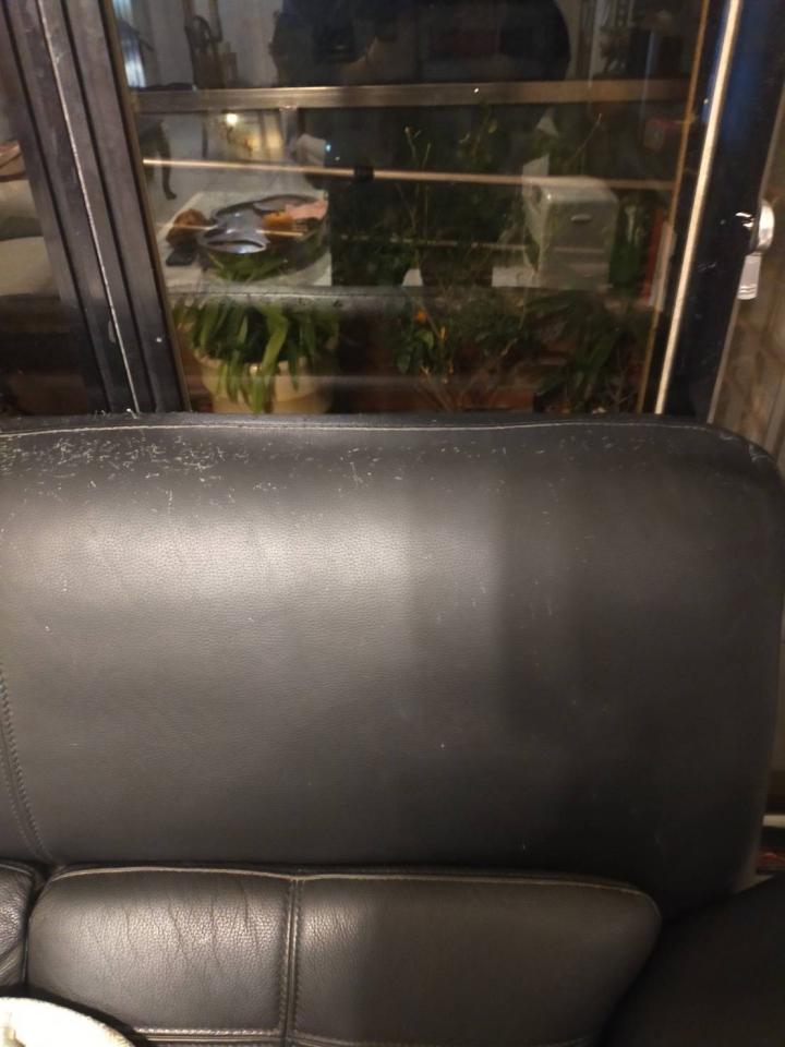 沙發修理案件圖片