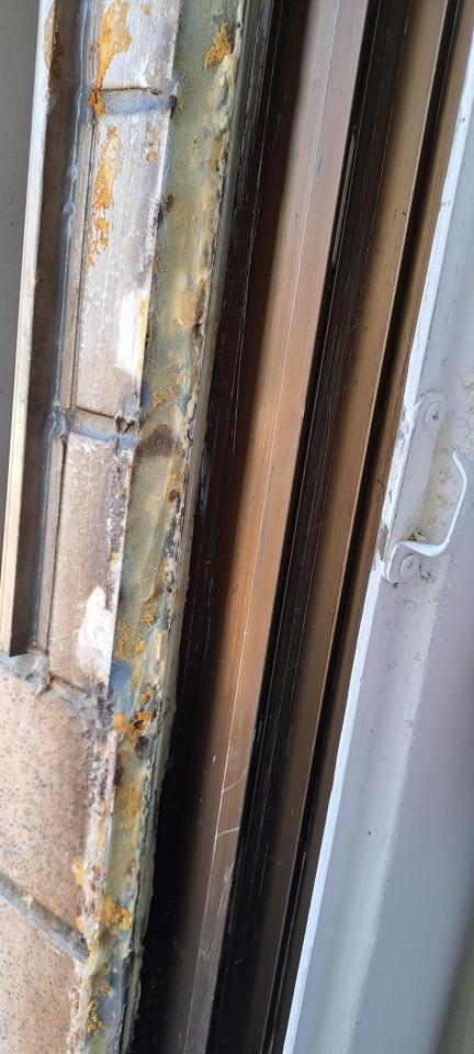 紗窗裝修案件圖片