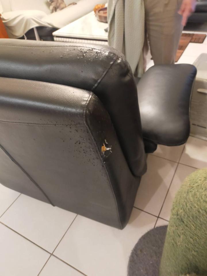 沙發修理案件圖片