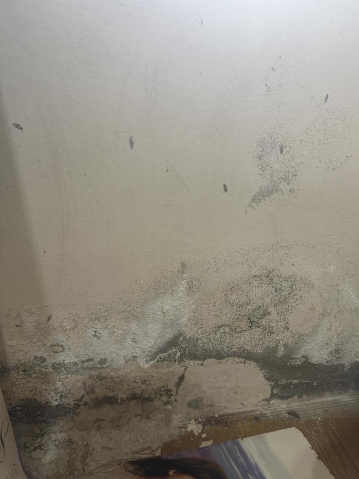 油漆工程案件圖片