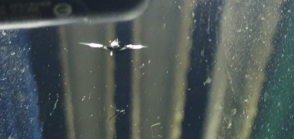 汽車玻璃修補案件圖片