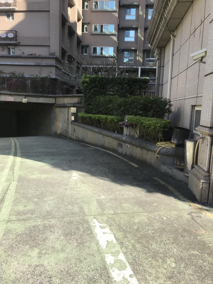 園藝維護案件圖片