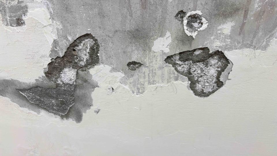 壁癌處理案件圖片