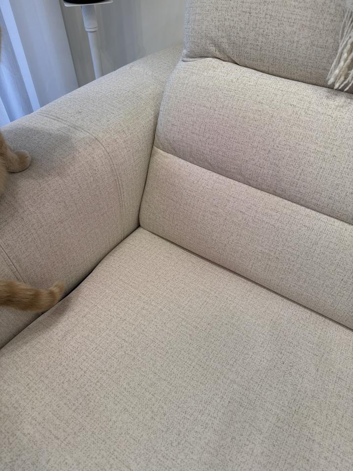 沙發清潔案件圖片