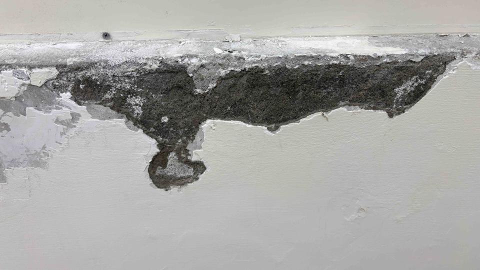 壁癌處理案件圖片