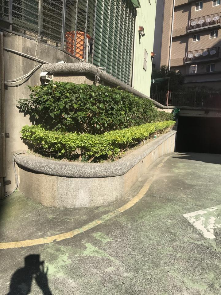 園藝維護案件圖片