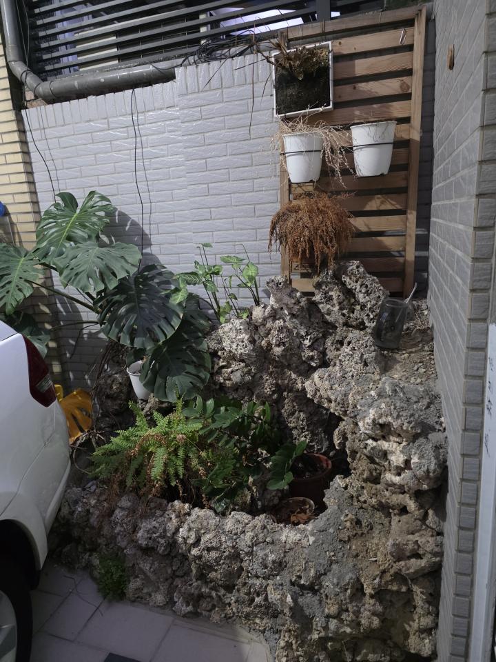 拆除工程案件圖片