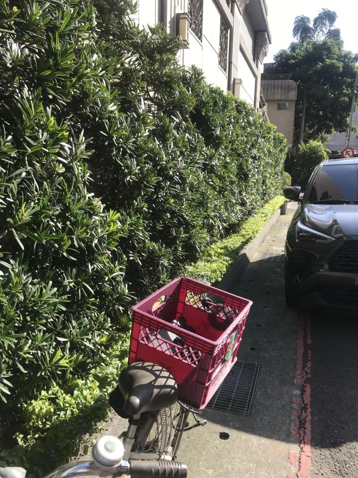 園藝維護案件圖片