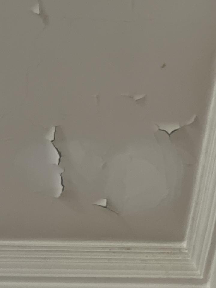 油漆工程案件圖片