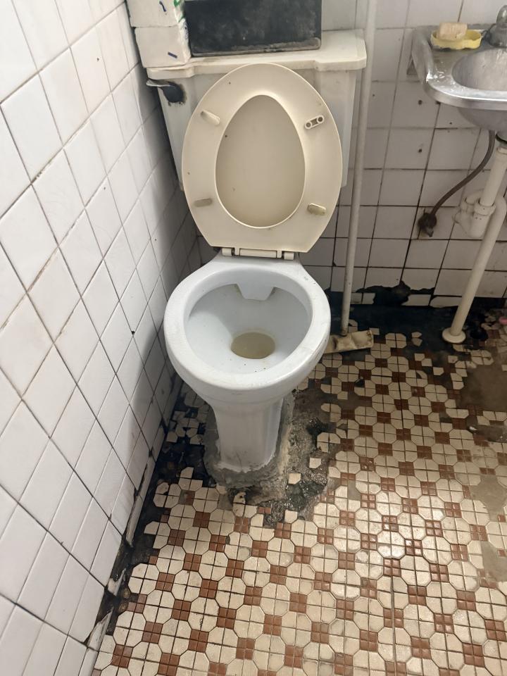 馬桶裝修案件圖片