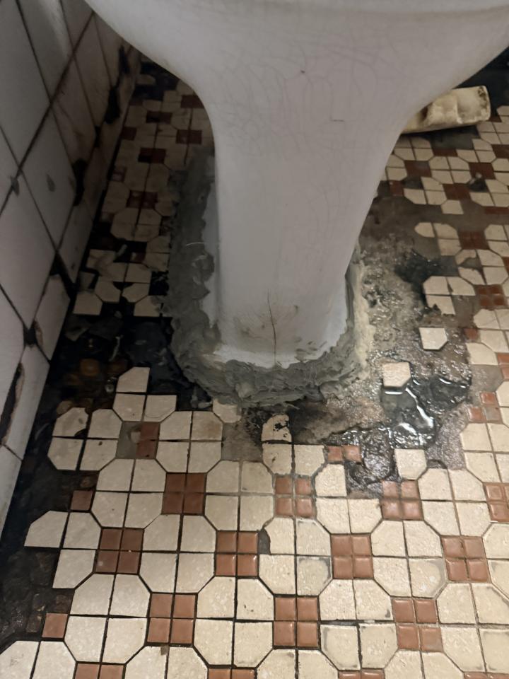 馬桶裝修案件圖片